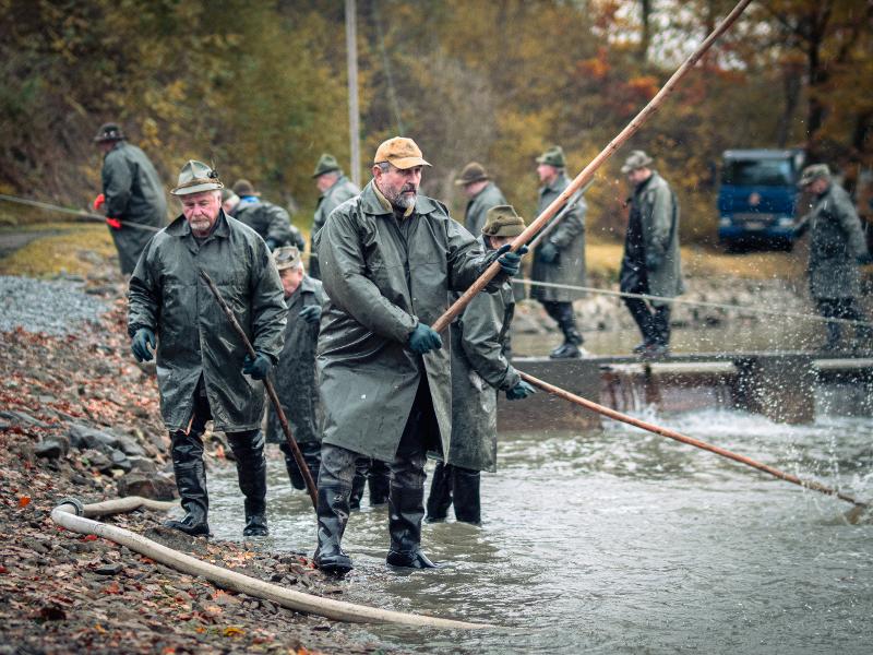 Bošilecký rybník výlov 21. 11. 2023 (13).jpg