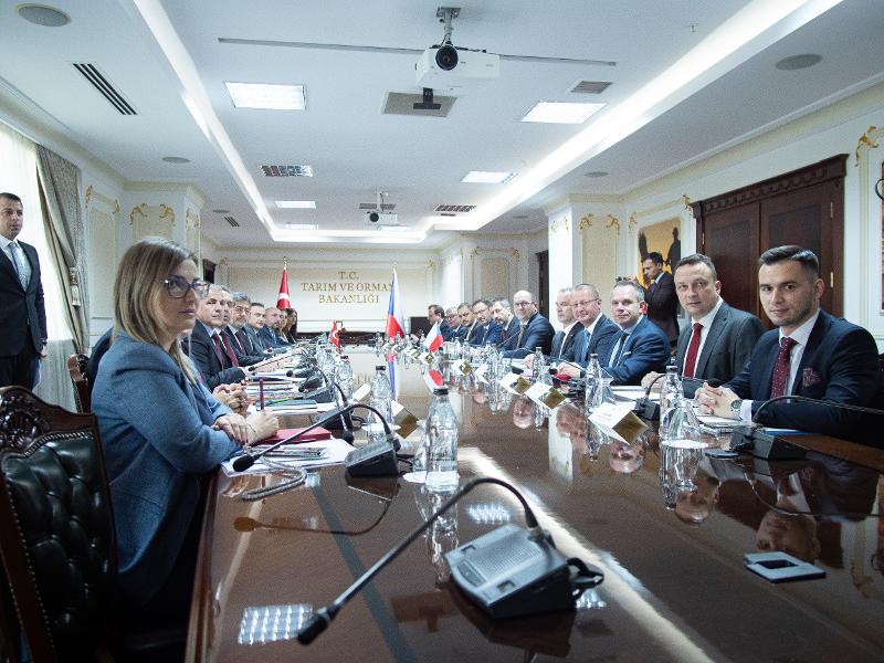 P1411399.jpg