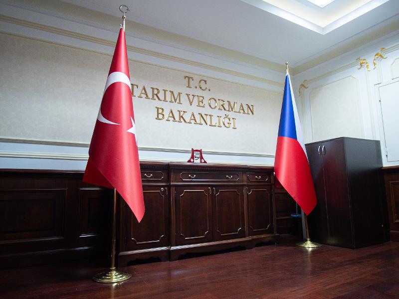 P1411378.jpg