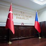 P1411378.jpg