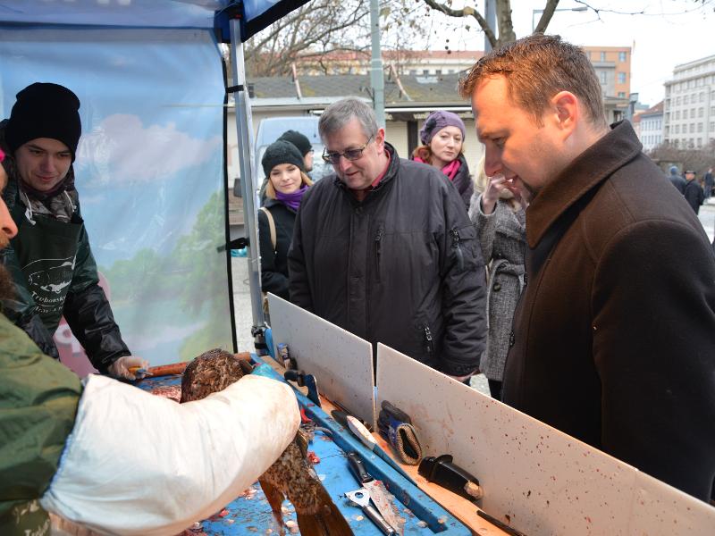 Kontrola prodeje kaprů na náměstí Míru
