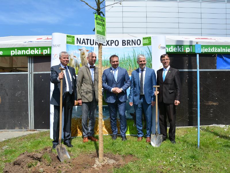 Národní výstava hospodářských zvířat