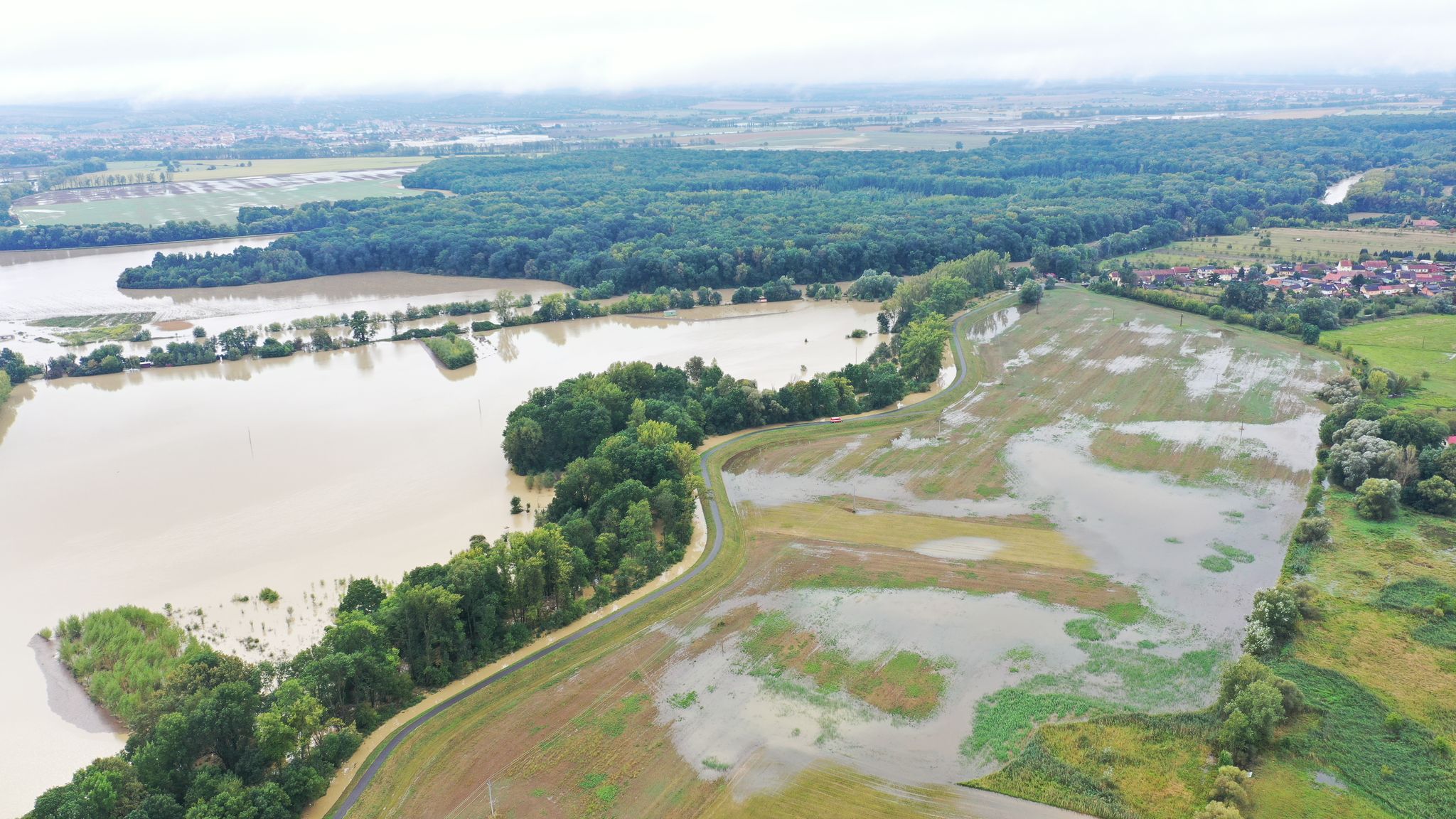 Zemědělci už mohou žádat o kompenzace za zaplavená pole  a uhynulá zvířata při loňské povodni