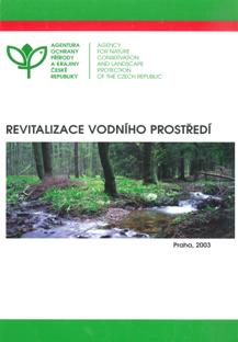 Revitalizace