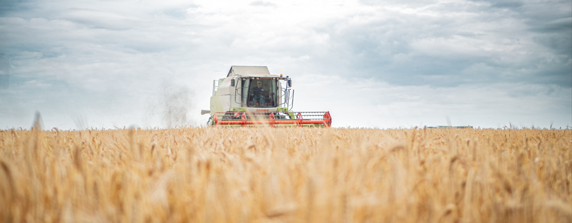 kombajn